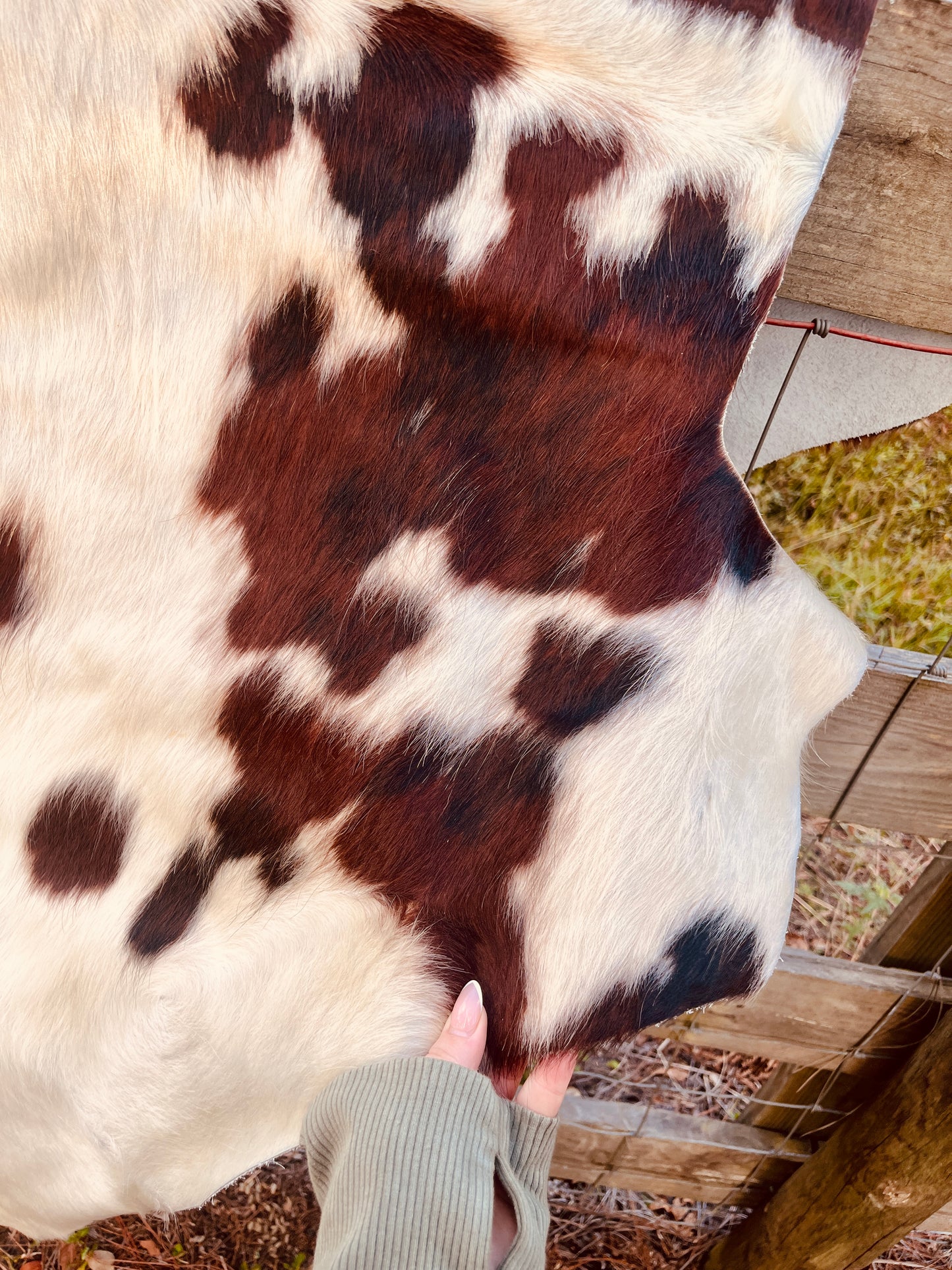 Genuine Cowhide-White & Brown