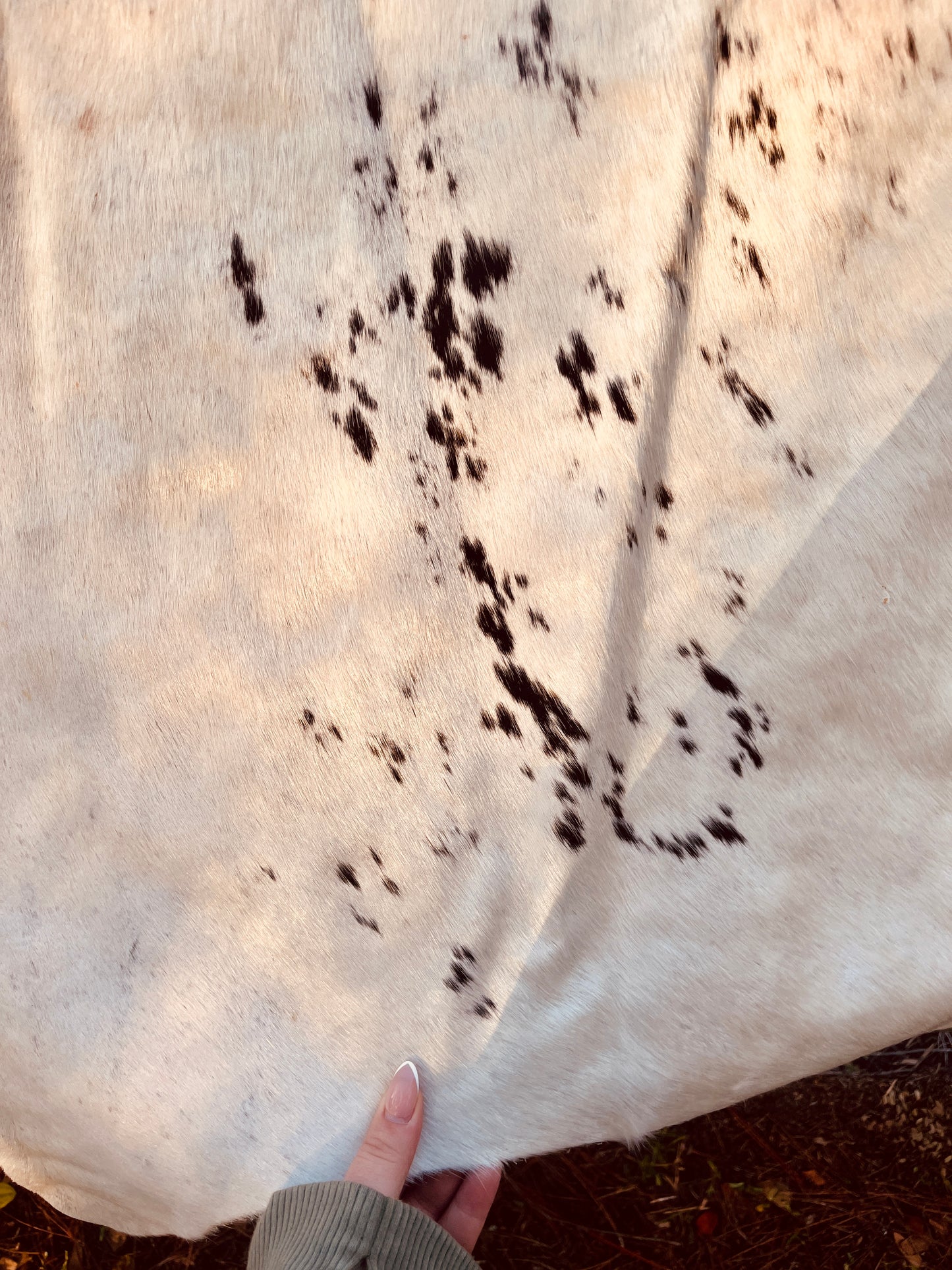 Genuine Cowhide-White & Brown Speckled