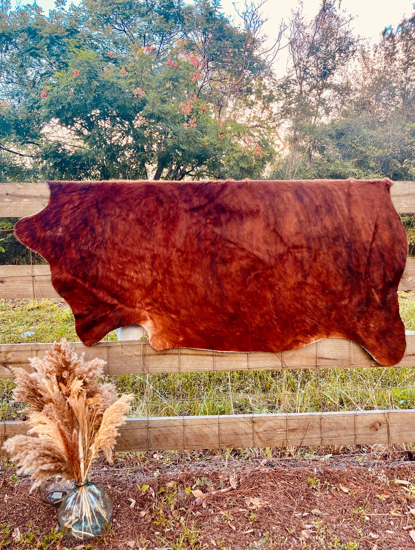 Genuine Cowhide-Brown