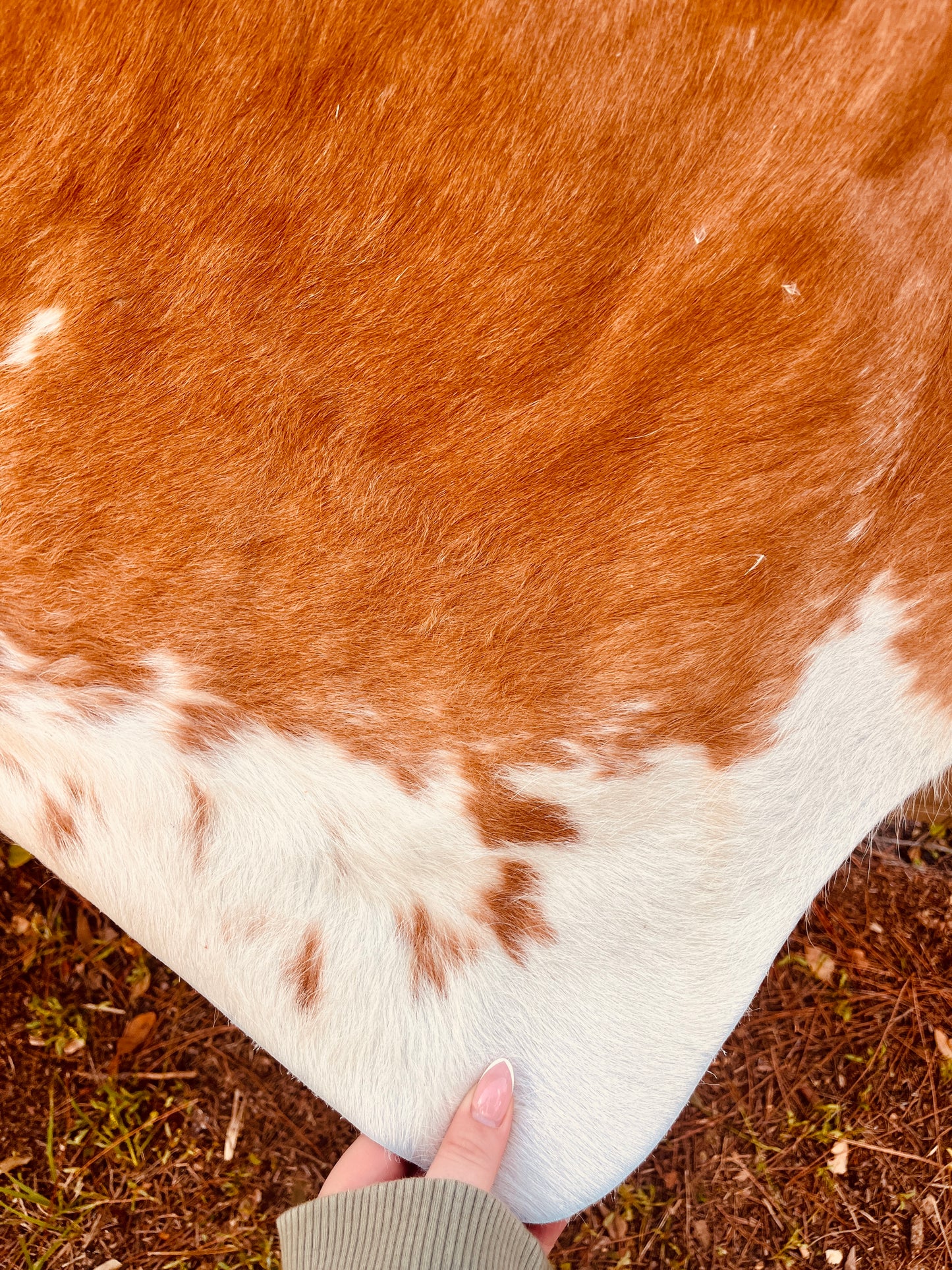 Genuine Cowhide-White & Light Brown